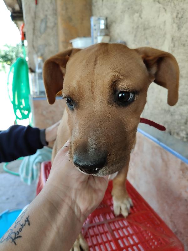 ARON ASPETTA UNA MAMMA  Foto 4