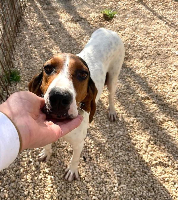 La Dolcissima Penelope