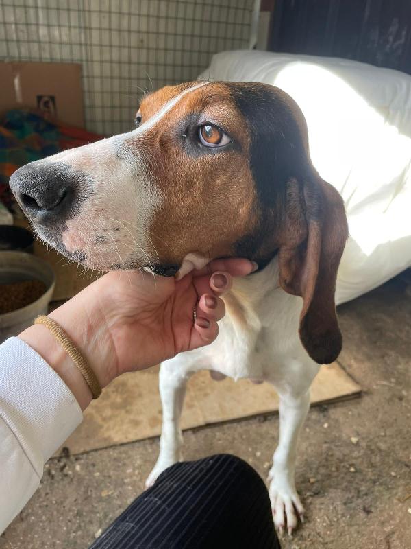 LA DOLCISSIMA PENELOPE Foto 3