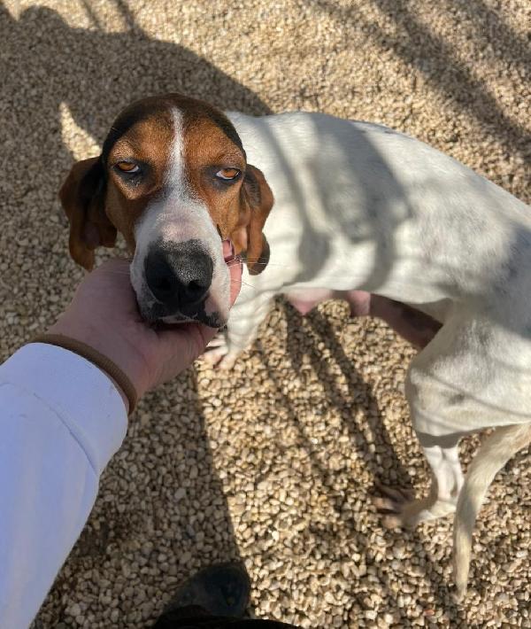 LA DOLCISSIMA PENELOPE Foto 5