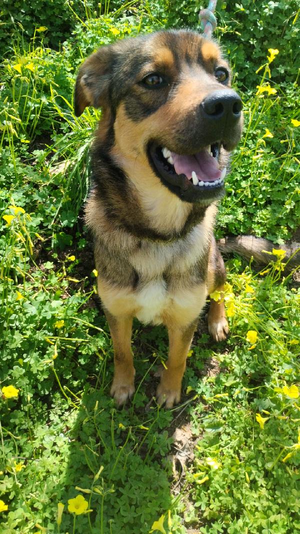 Una Mamma Per Tekila