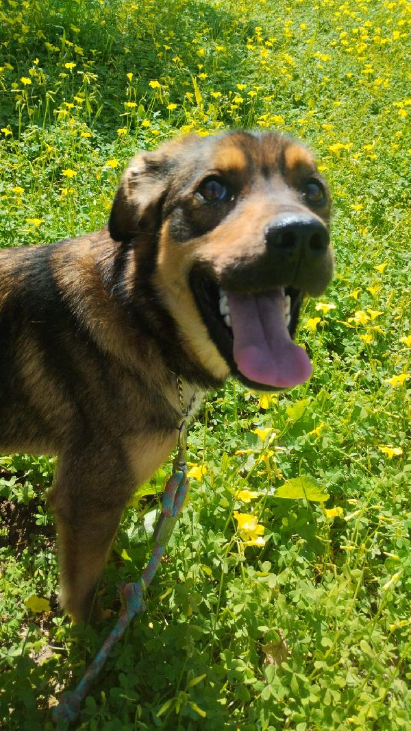 UNA MAMMA PER TEKILA Foto 3