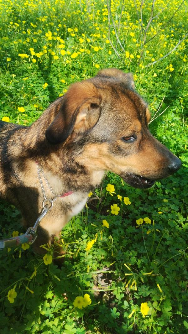 UNA MAMMA PER TEKILA Foto 4