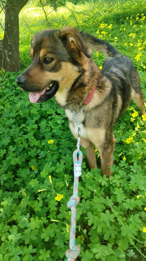 UNA MAMMA PER TEKILA Foto 5