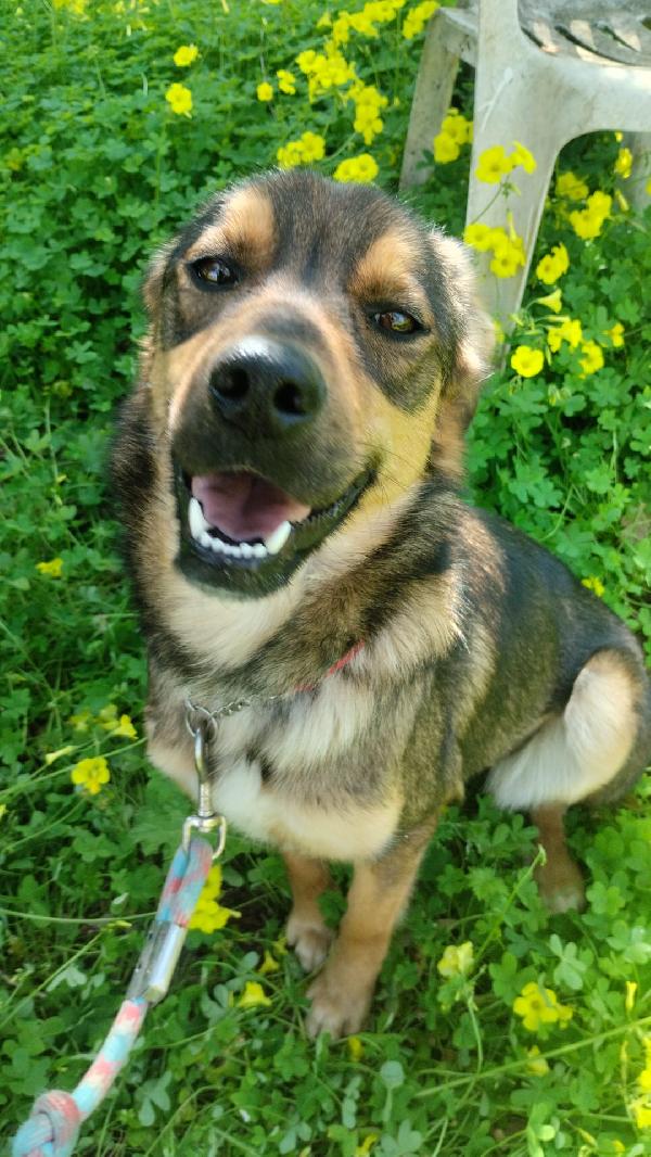 UNA MAMMA PER TEKILA Foto 6