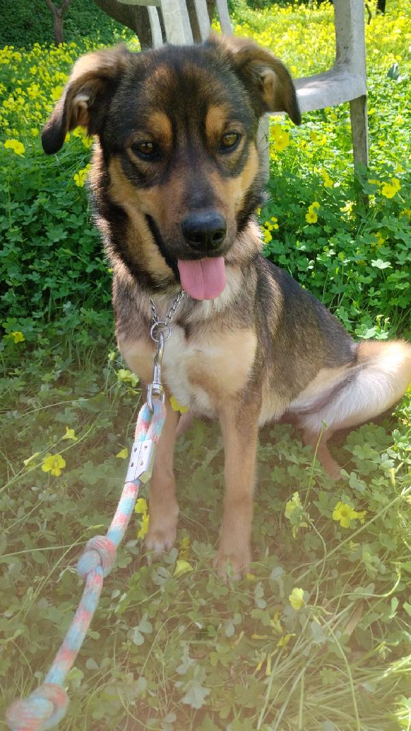 UNA MAMMA PER TEKILA Foto 7