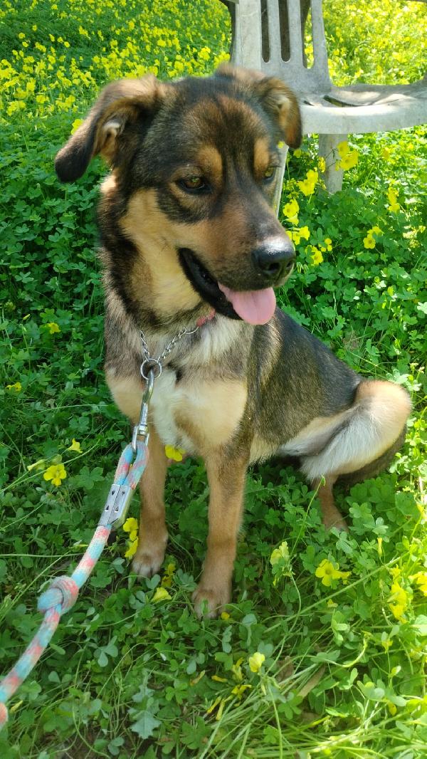 UNA MAMMA PER TEKILA Foto 8