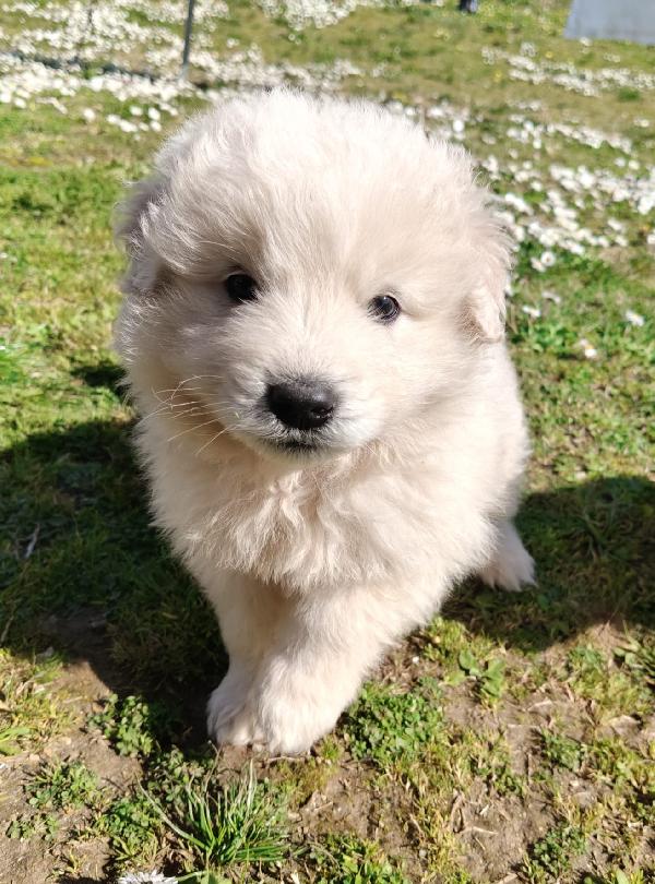 UNA MAMMA PER MENNIE Foto 3