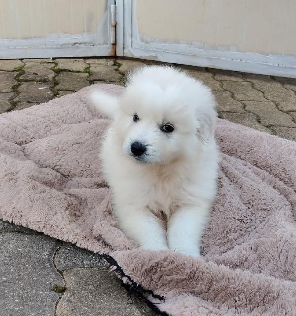 UNA MAMMA PER MENNIE Foto 4