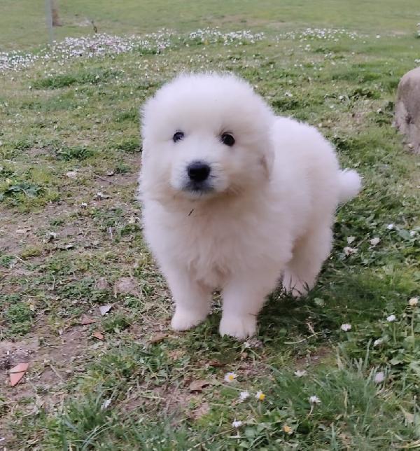 UNA MAMMA PER MENNIE Foto 5