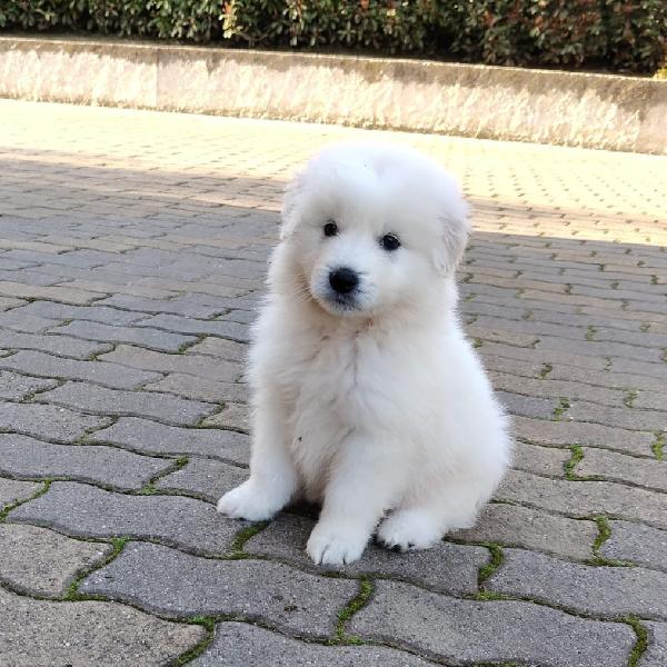 UNA MAMMA PER MENNIE Foto 6