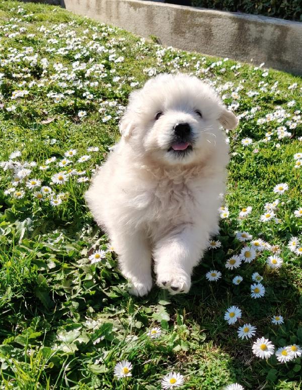 UNA MAMMA PER MENNIE Foto 7