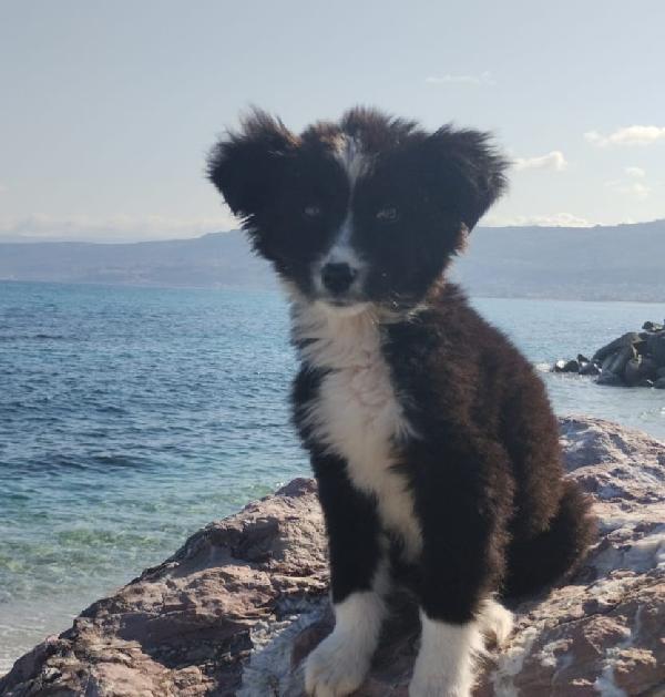 UNA MAMMA PER BIMBA Foto 2