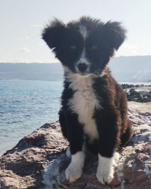 UNA MAMMA PER BIMBA Foto 3