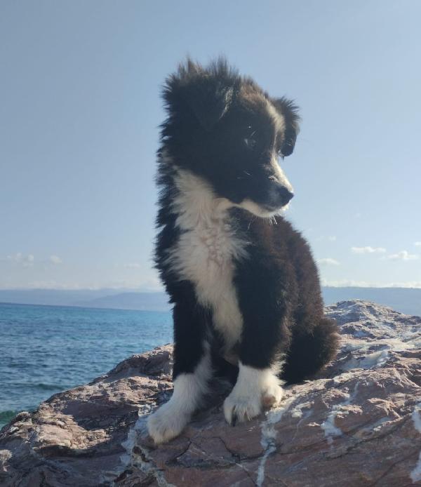 UNA MAMMA PER BIMBA Foto 4