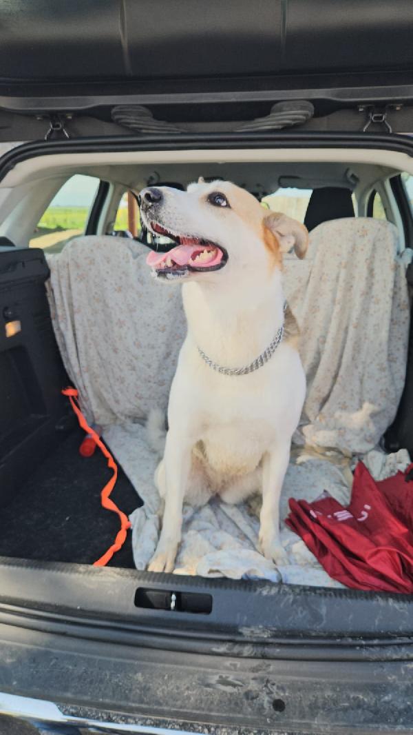 INDIA CERCA NUOVA FAMIGLIA: PIANGE DISPERATA. URGENTE Foto 4