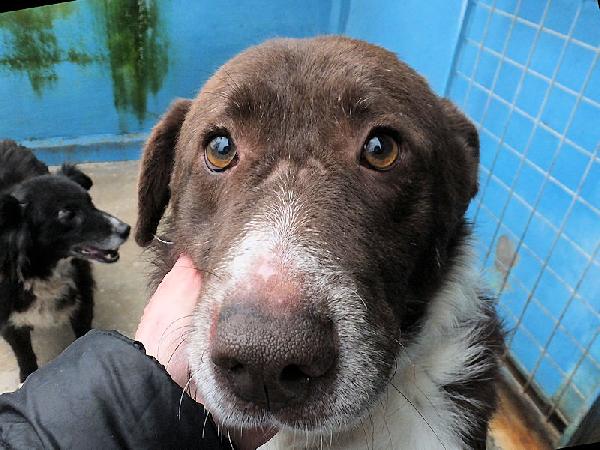 Emiliano Buono E Affettuoso