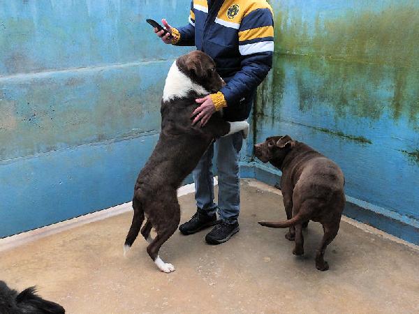 Emiliano buono e affettuoso Foto 3