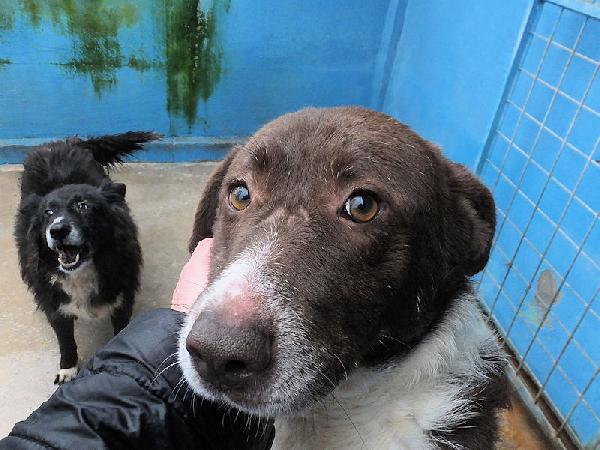 Emiliano buono e affettuoso Foto 6