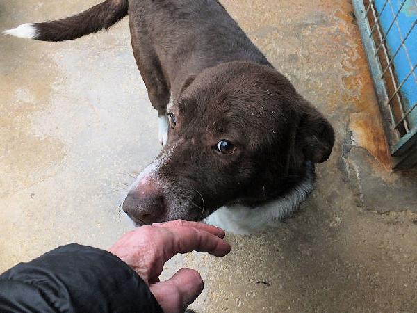 Emiliano buono e affettuoso Foto 7