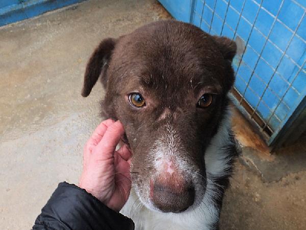Emiliano buono e affettuoso Foto 8
