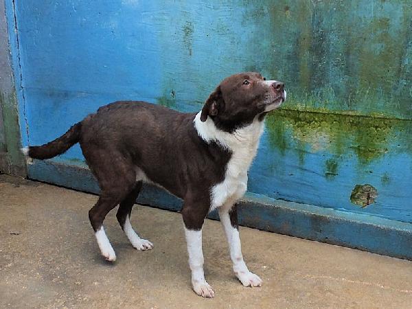 Emiliano buono e affettuoso Foto 9