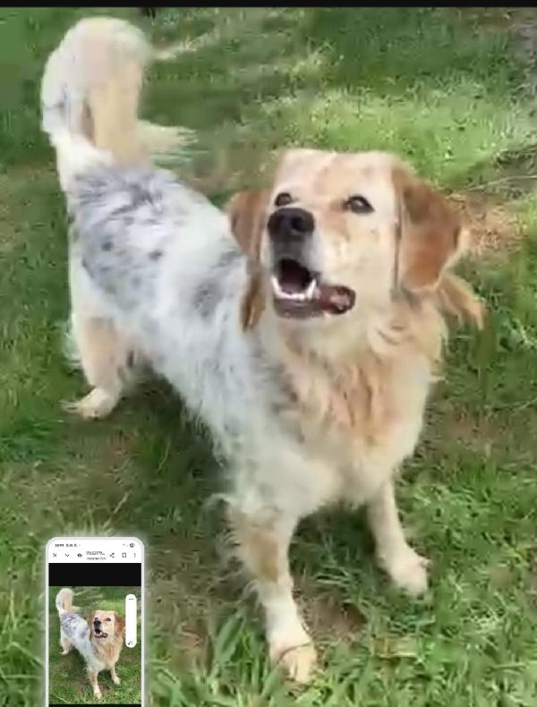 Salvo 9Anni Tolto Ad 1Aguzzino Anni Fa. Napoli