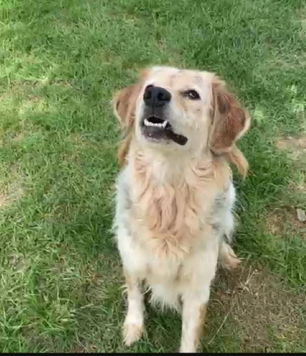 Salvo 9anni tolto ad 1aguzzino anni fa. NAPOLI Foto 2