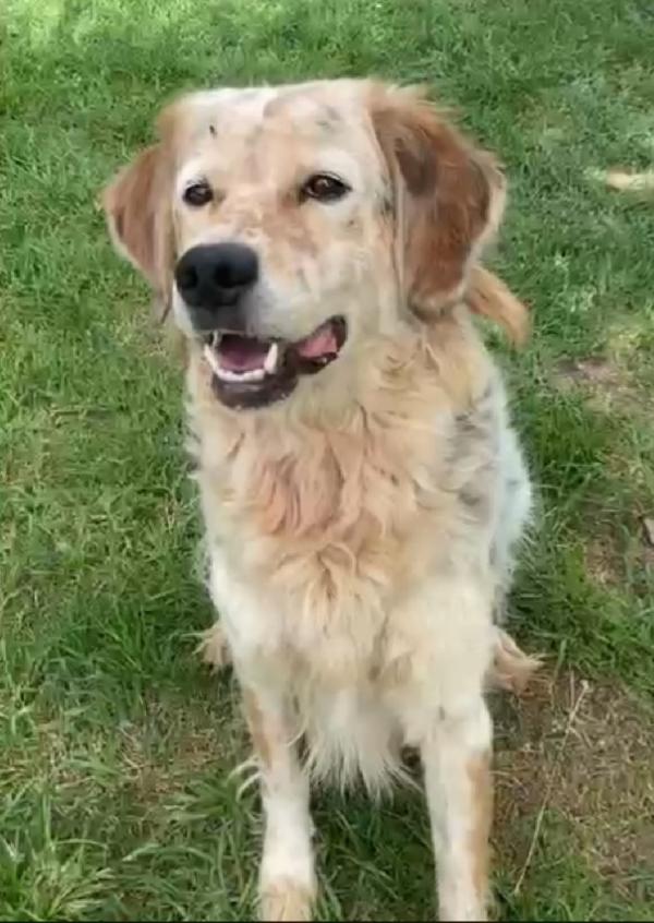 Salvo 9anni tolto ad 1aguzzino anni fa. NAPOLI Foto 3