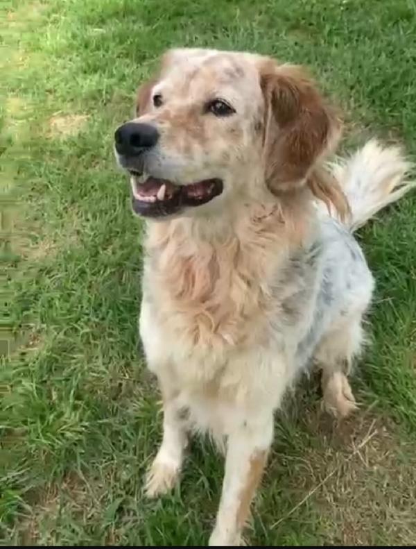 Salvo 9anni tolto ad 1aguzzino anni fa. NAPOLI Foto 4