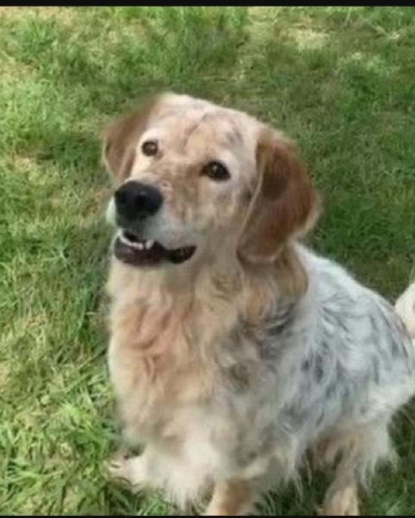 Salvo 9anni tolto ad 1aguzzino anni fa. NAPOLI Foto 5