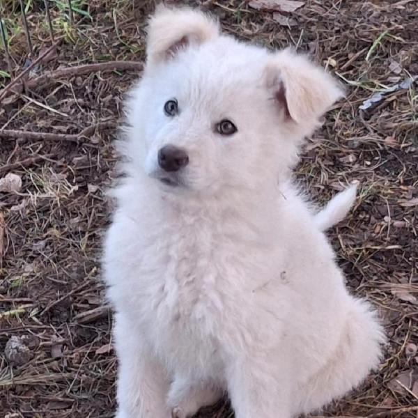 Gaia🐾💞✨ Foto 2