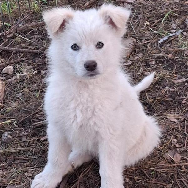 Gaia🐾💞✨ Foto 3