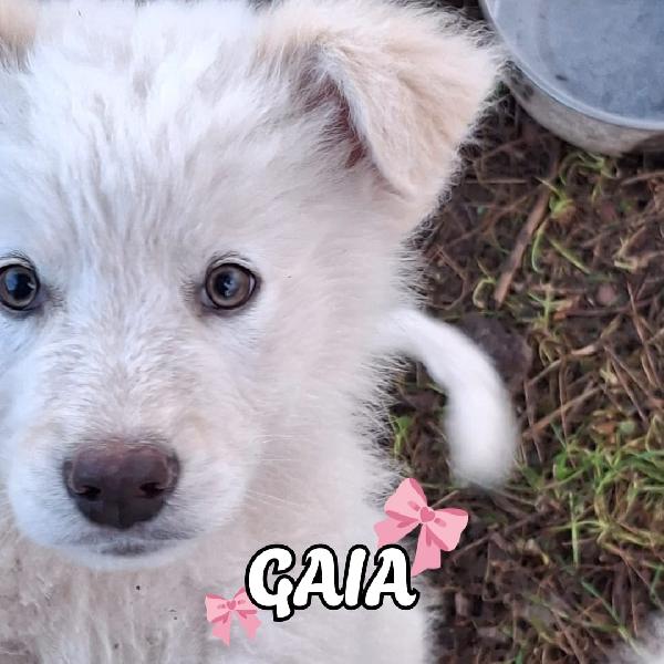 Gaia🐾💞✨ Foto 5