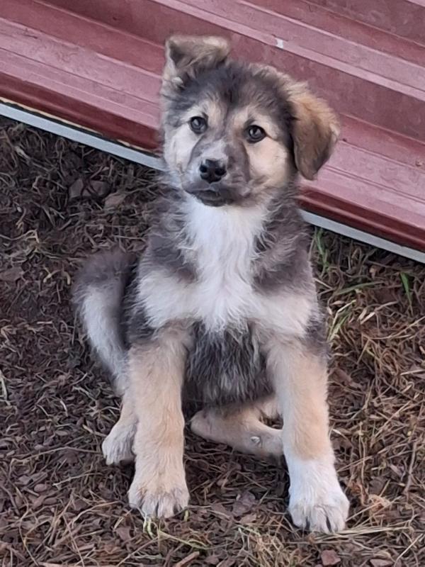 Leda...🌙🦢 Foto 2