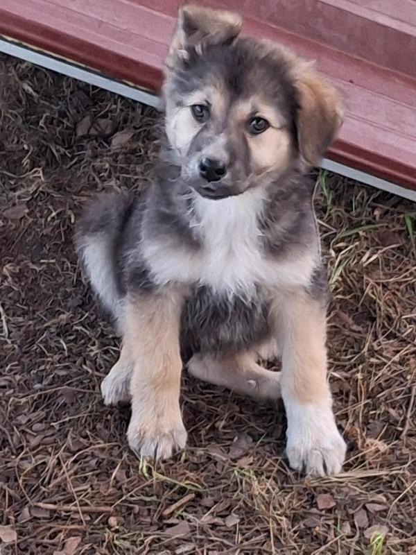 Leda...🌙🦢 Foto 6