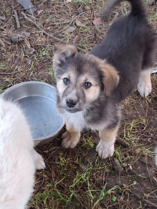 Leda🌸❤️💖 Foto 2