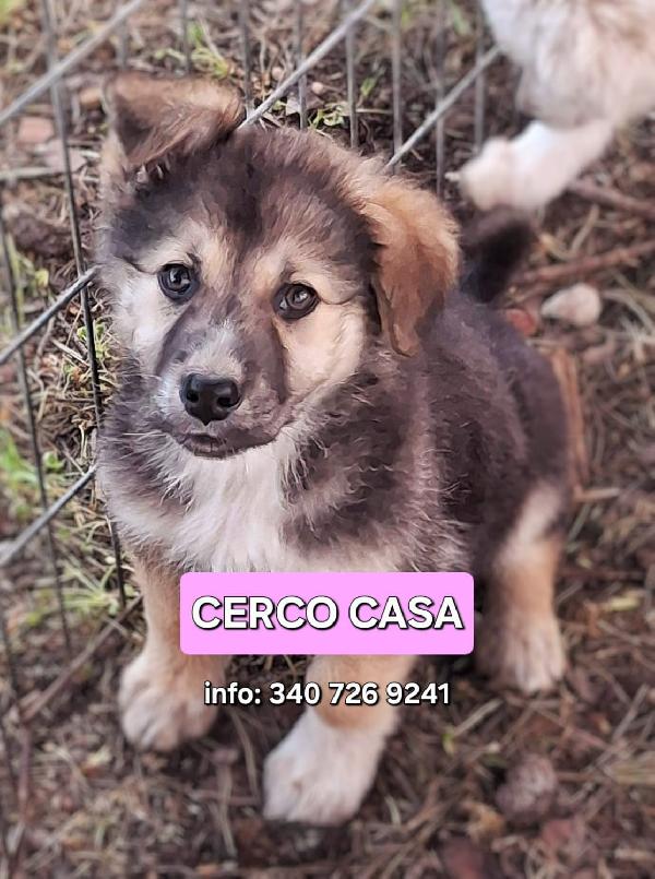 Leda🌸❤️💖 Foto 3