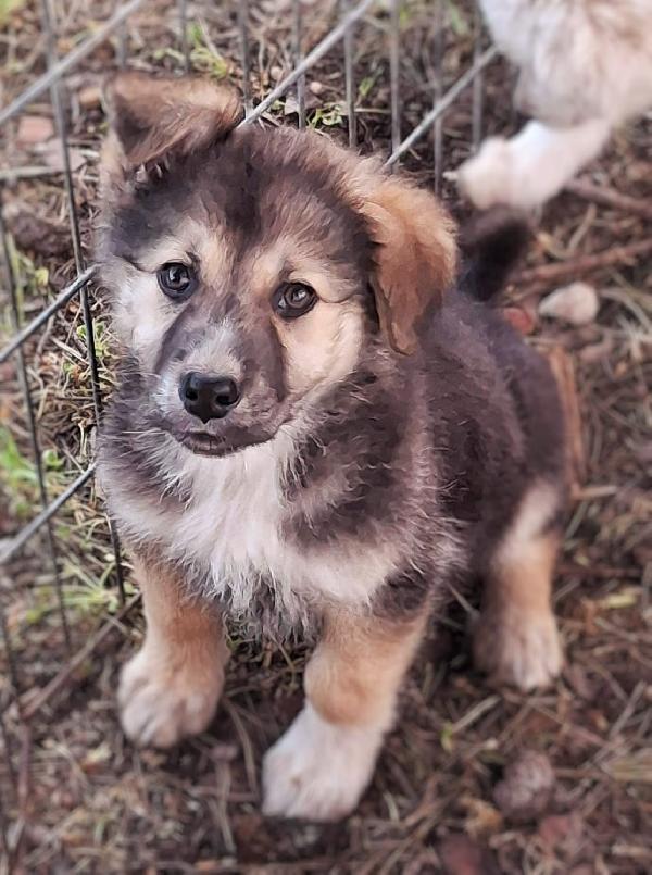 Leda🌸❤️💖 Foto 4