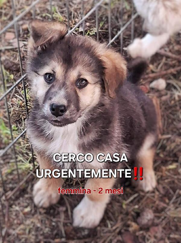 Leda🌸❤️💖 Foto 6