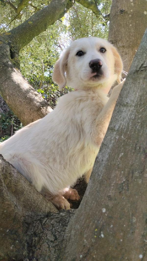 UNA MAMMA PER LISA Foto 2