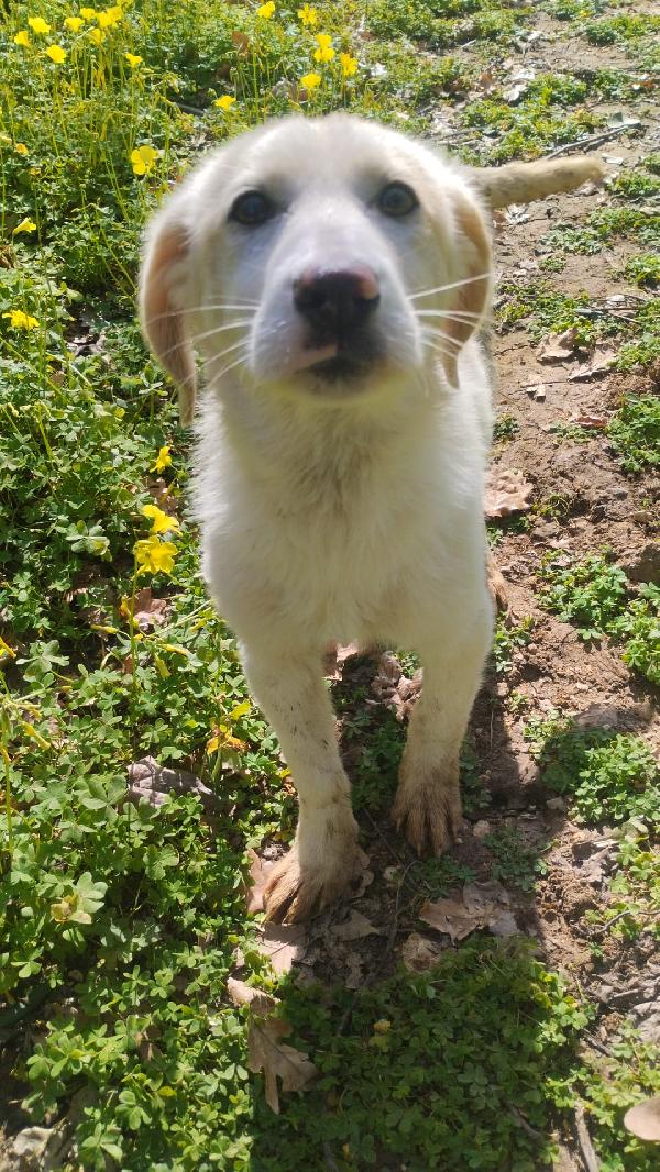 UNA MAMMA PER LISA Foto 3