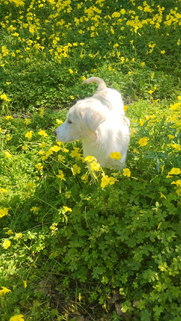 UNA MAMMA PER LISA Foto 5