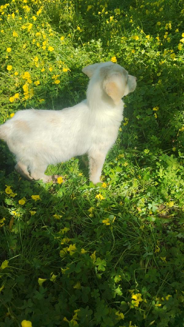 UNA MAMMA PER LISA Foto 7