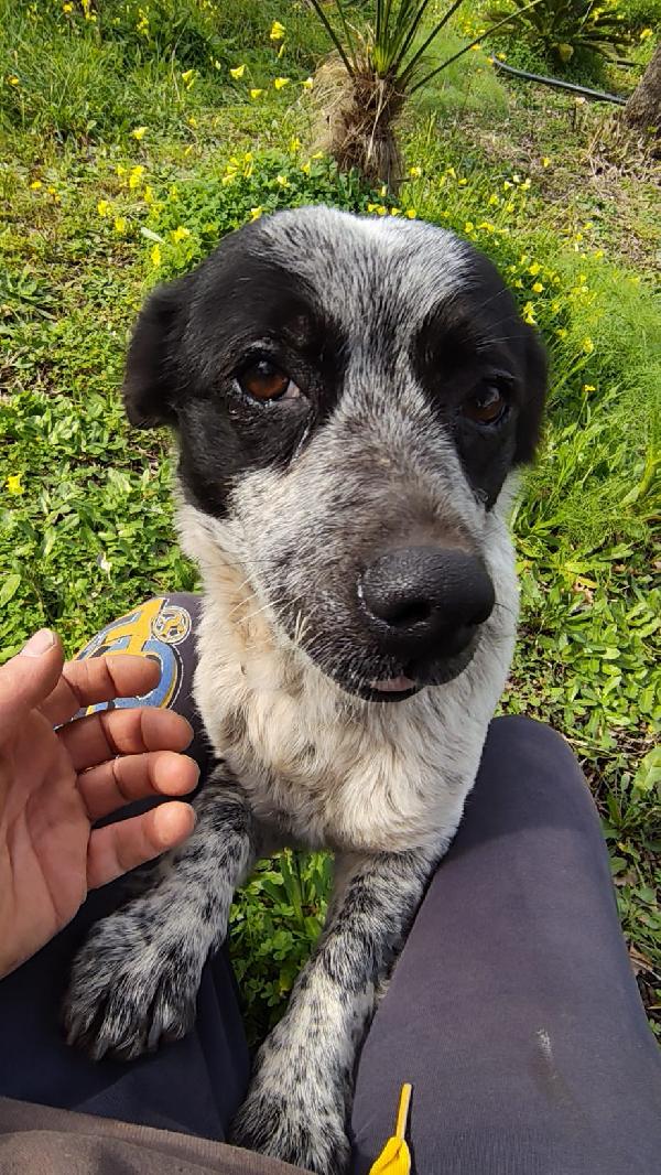 Betty Taglia Piccola 