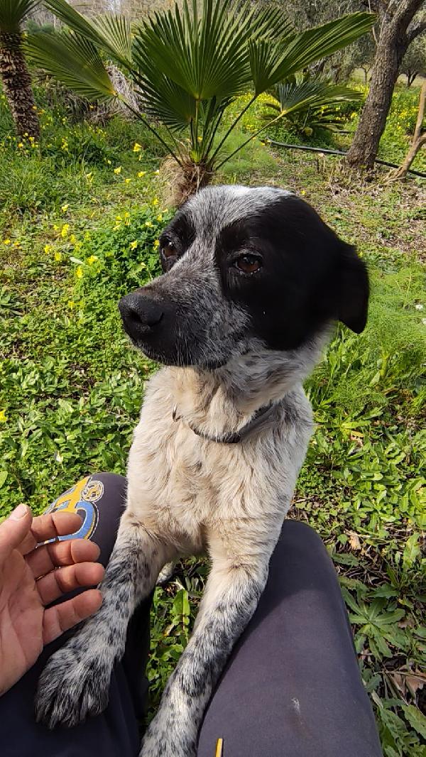 BETTY TAGLIA PICCOLA  Foto 2