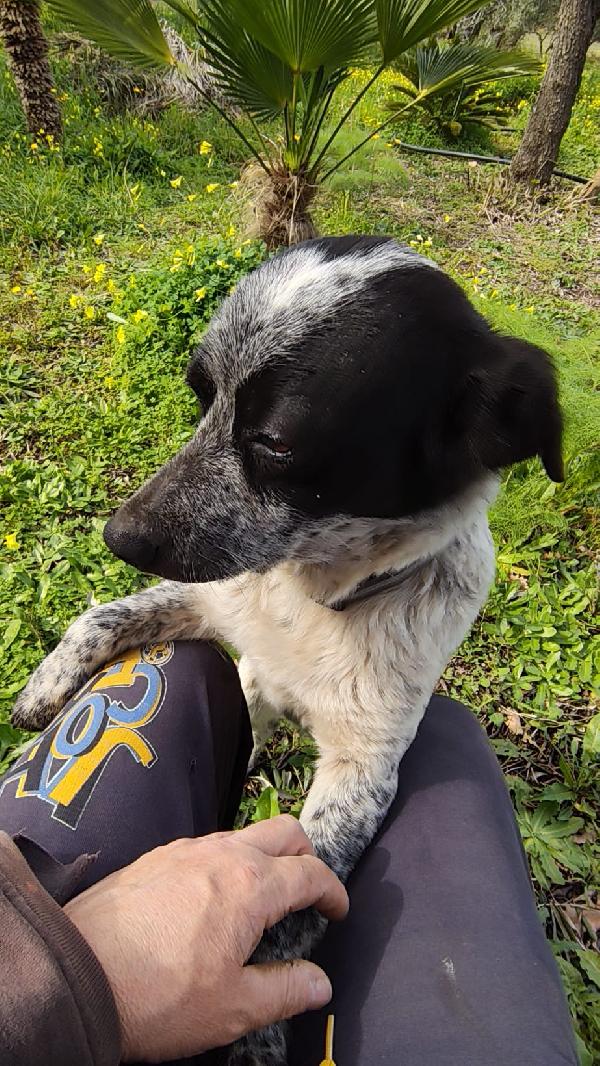 BETTY TAGLIA PICCOLA  Foto 3