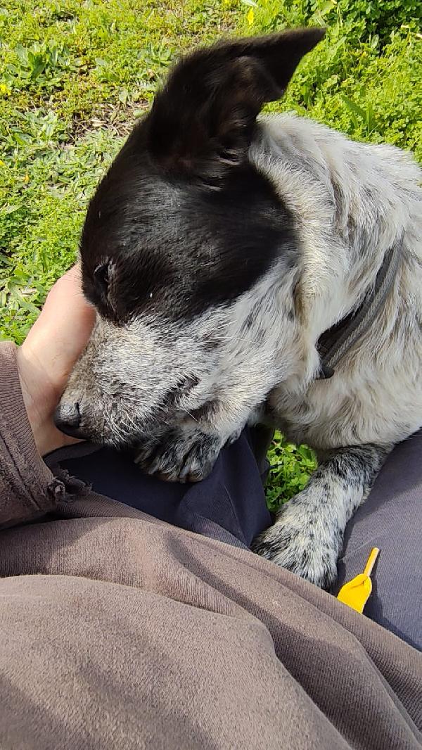 BETTY TAGLIA PICCOLA  Foto 5