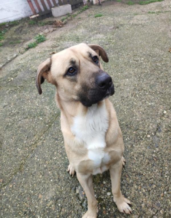 Cody 4Anni Salito 3Anni Fa E Rifiutato Milano