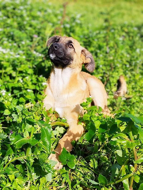 Duffy 4 Mesi E Mezzo 